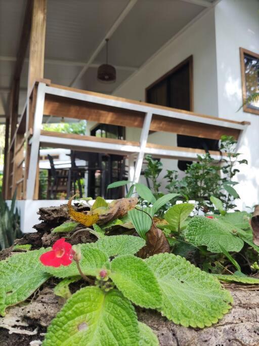 Little Yemanja Bungalow Puerto Viejo de Talamanca Esterno foto